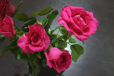 红玫瑰粉玫瑰摄影照片_天然红玫瑰和粉玫瑰