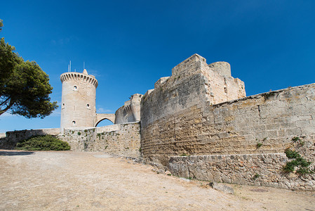 贝尔弗城堡卡斯蒂略塔在马略卡岛帕尔马