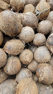 巴西内陆市场出售椰子的图片