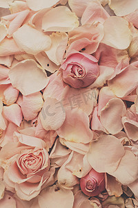 大理石上的玫瑰花瓣 — 婚礼、假日和花园风格的概念