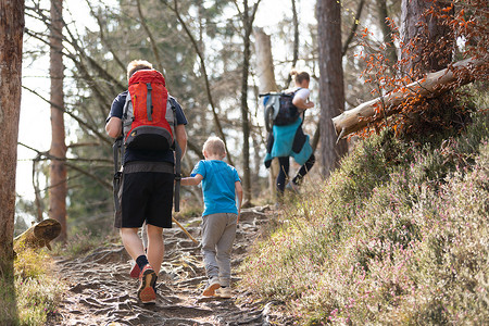 秋天，无法辨认的年轻活跃家庭在山林小道上一起徒步旅行的后视图。