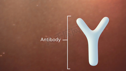 免疫疗法摄影照片_抗体是我们免疫系统的一部分