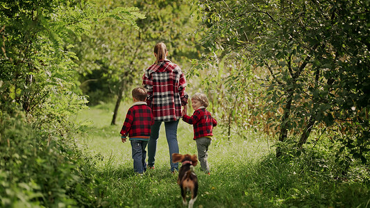 跑步小狗摄影照片_年轻的家庭 — 妈妈和两个兄弟双胞胎男孩带着小狗小猎犬在绿色公园或花园里跑步。