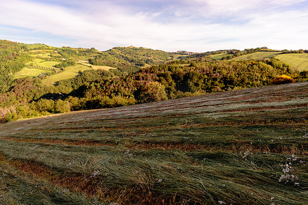 意大利马尔凯地区 Belvedere Fogliense 下的田野景观。