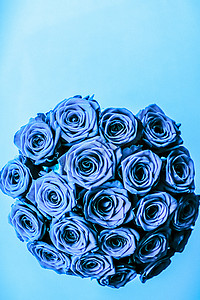 魅力奢华的蓝玫瑰花束，鲜花盛开，作为花卉假日背景
