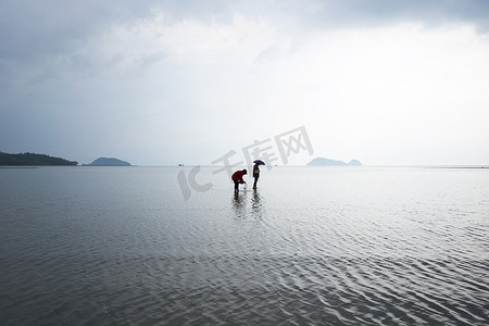 保护海洋日摄影照片_2022年3月15日，泰国帕岸岛：采集蛤蜊的妇女剪影