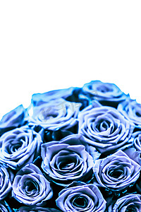 魅力奢华的蓝玫瑰花束，鲜花盛开，作为花卉假日背景