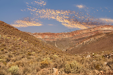 Cederberg 荒野地区由开普自然保护区管理，位于开普敦以北约 200 公里处，是一片极其崎岖的山脉。