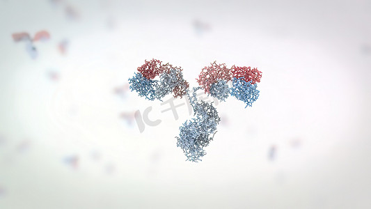 受体摄影照片_抗体是免疫系统产生的用于对抗感染的蛋白质。