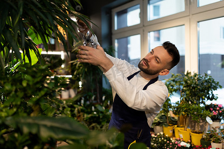 男性植物学家在花园中心照顾盆栽植物