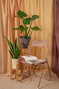 静物画与棕色窗帘背景上的植物与椅子上的书。