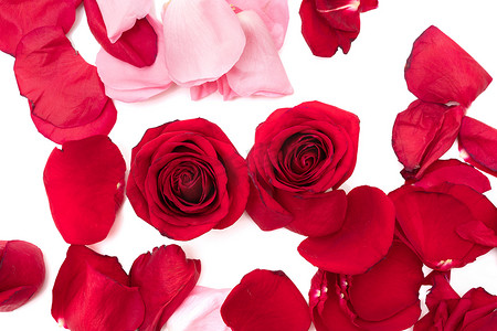 花瓣摄影照片_玫瑰花瓣中的红玫瑰隔离在白色背景