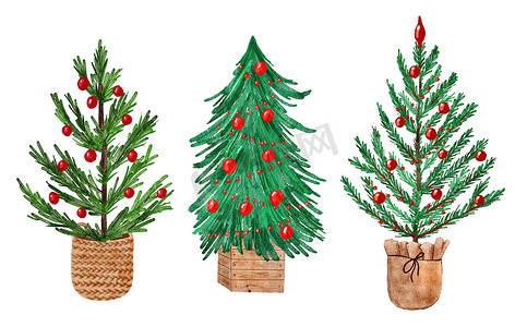 水彩手绘松树圣诞树，配有红色装饰品，装在米色棕色斯堪的纳维亚容器、篮子木箱中。