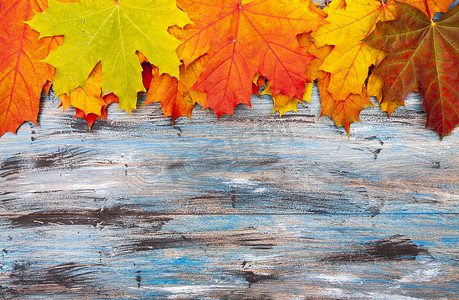 蓝色复古木材上橙色和红色枫叶的秋季背景，带有复制空间