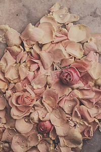 婚礼庆贺摄影照片_大理石上的玫瑰花瓣 — 婚礼、假日和花园风格的概念