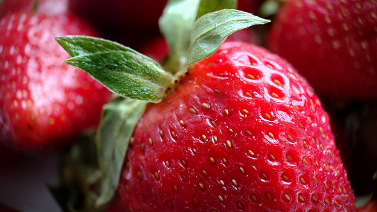 成熟花园红草莓的宏观组成