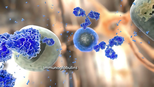 抗体免疫学和免疫球蛋白的概念作为攻击感染性病毒细胞和病原体的抗体，