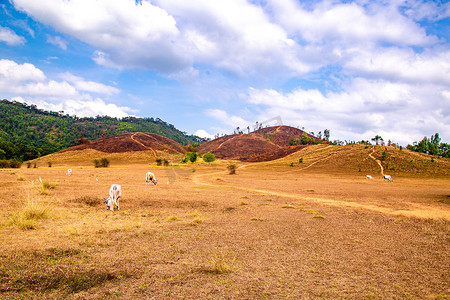 Phu Khao Ya，也称为泰国拉廊市的秃山