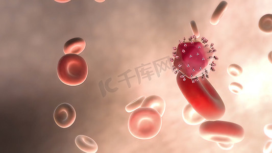 血液系统摄影照片_甲型肝炎病毒在血液中的旅程