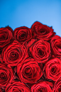 蓝色花束摄影照片_蓝色背景的豪华红玫瑰花束，鲜花作为节日礼物