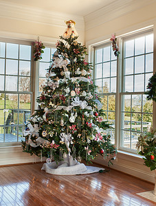 家里装饰的圣诞树