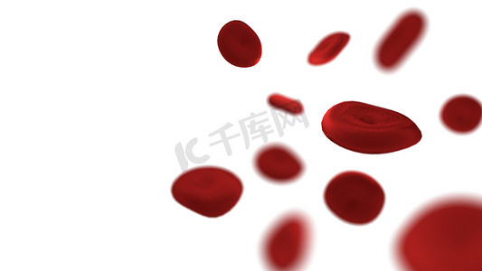 孤立的白色背景上的红细胞。