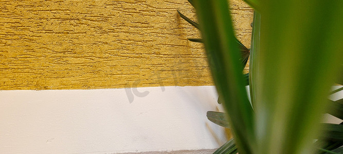 巴西家里有装饰植物的砖墙背景