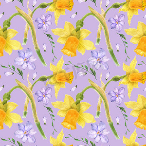 黄色水仙花和紫色小苍兰水彩无缝图案