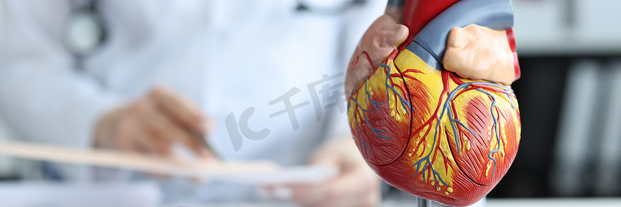 心脏病专家特写背景下的人体心脏人工塑料模型