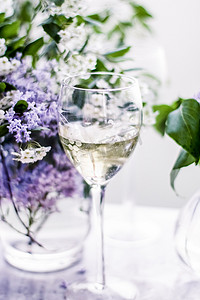 法国白葡萄酒 — 酒庄、美食和庆典概念