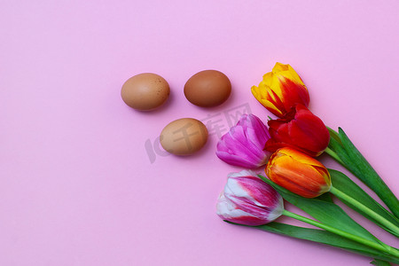 春假粉色背景中的复活节彩蛋和郁金香
