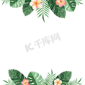 水彩热带花卉边框隔离在白色背景。
