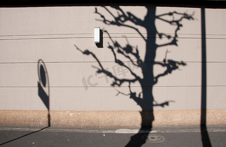 樱花树和交通标志在东京 Ja 棕色墙上的影子