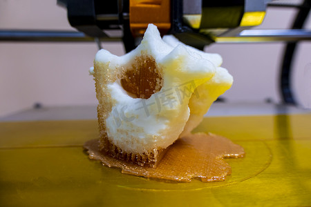 现代3D打印机打印人物特写宏3D打印机打印椎骨