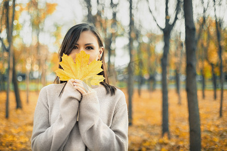 枫树公园里，身穿灰色毛衣的年轻女子，脸前挂着秋黄枫叶