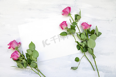 白桌上粉色玫瑰花制成的平铺组合物