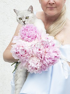 女主人抱着一只可爱的灰色小猫，绿眼睛的苏格兰蓝色连衣裙