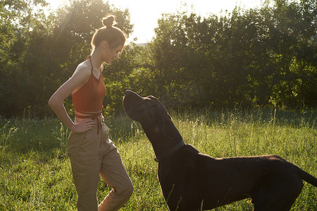 夏天，快乐的女人在大自然的田野里和狗玩耍