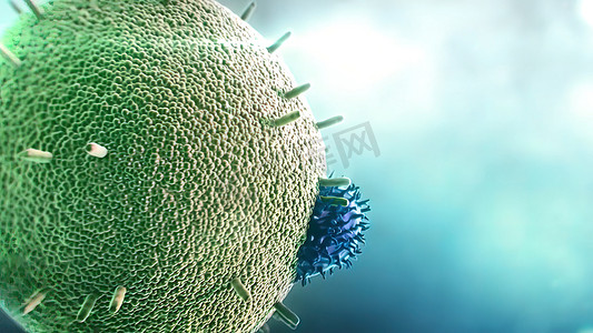 基因和细胞摄影照片_抗体以紫色和蓝色攻击癌细胞或病毒