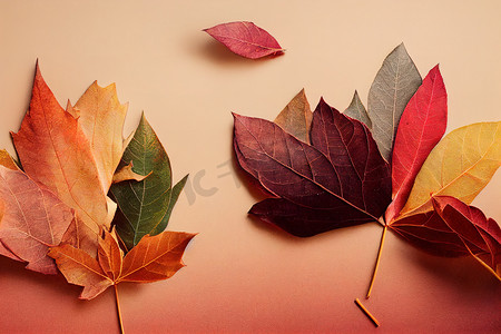 柔和的绿色背景上红叶的秋季构图
