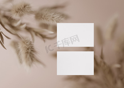 本子样机摄影照片_浅棕色背景上的空白白色名片与干植物。