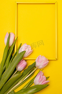 黄色广告海报摄影照片_郁金香和黄色背景上的框架。 
