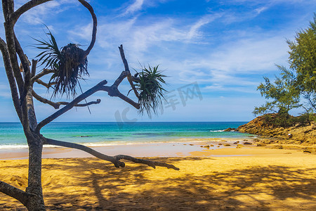 Naithon 海滩海湾全景与绿松石清澈的水普吉岛泰国。