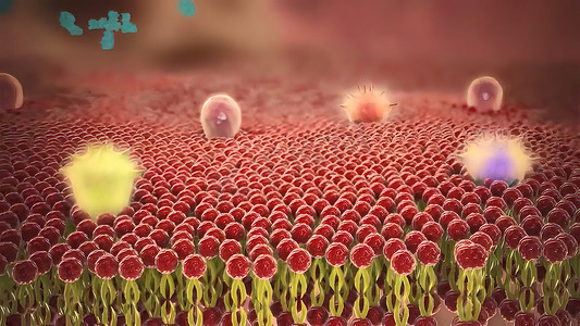 病毒防御摄影照片_covid-19病毒细胞感染血液和人体循环系统