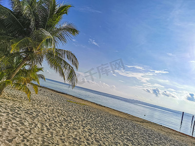 墨西哥坎昆的普拉亚阿祖尔海滩棕榈海景全景。