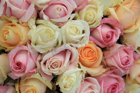混合新娘花束中的粉色、橙色和白色玫瑰