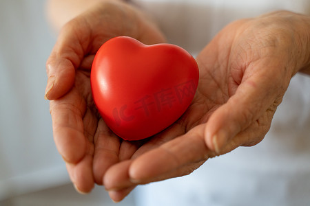 世界心脏日摄影照片_祖母妇女手握红心、医疗保健、爱、器官捐赠、正念、福祉、家庭保险和企业社会责任概念、世界心脏日、世界卫生日、国家器官捐赠日