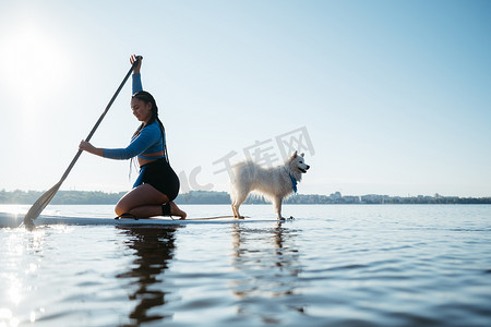 sup浆板摄影照片_清晨，一位女士在城市湖上划桨，她的狗日本斯皮茨坐在 Sup 板上
