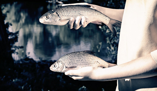 女孩抱着一条在河里捕获的鱼。