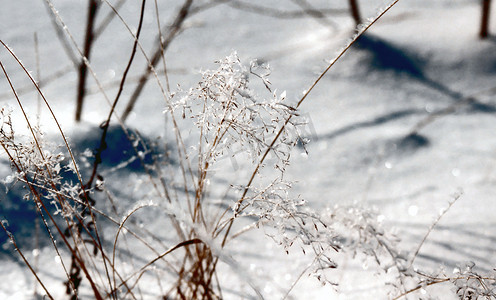 结满了摄影照片_阳光明媚的日子里，草地上结满了冰